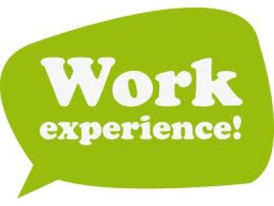 Image result for Work Experience